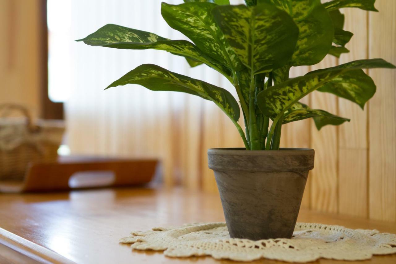 Les Melezes Apartment Saint-Chaffrey Ngoại thất bức ảnh